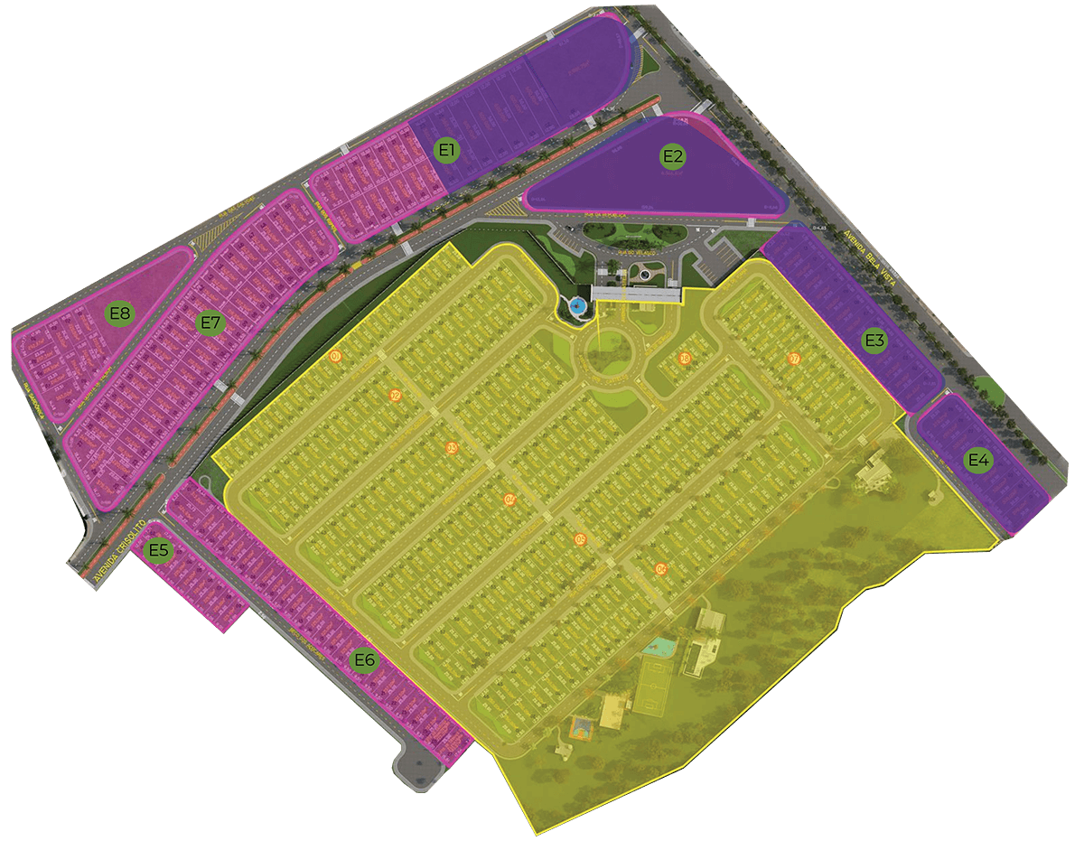 implantação vinhas